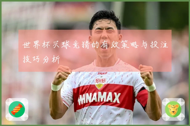 世界杯买球竞猜的有效策略与投注技巧分析