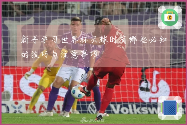 新手学习世界杯买球时有哪些必知的技巧与注意事项