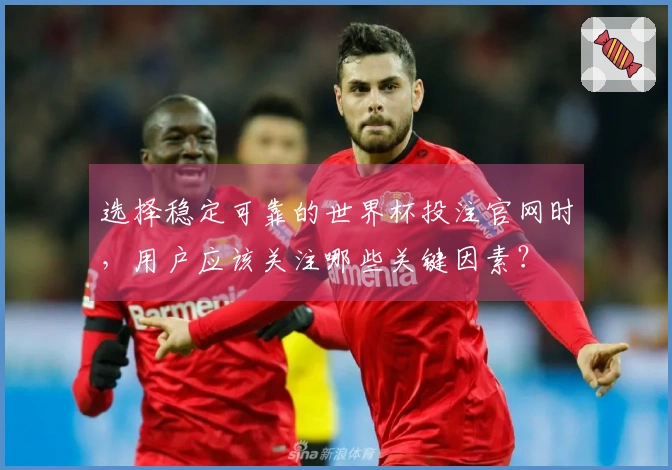 选择稳定可靠的世界杯投注官网时，用户应该关注哪些关键因素？