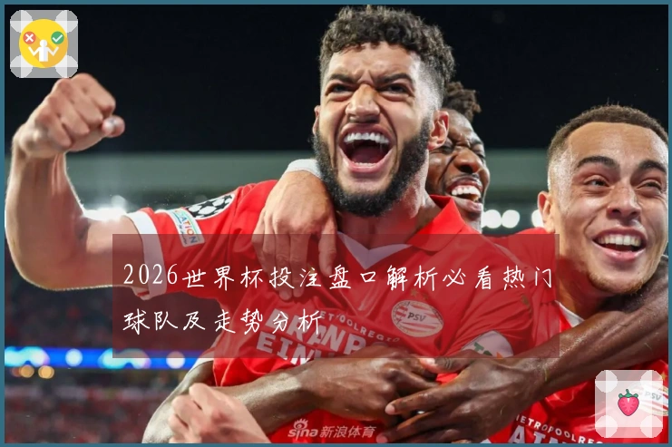 2026世界杯投注盘口解析必看热门球队及走势分析