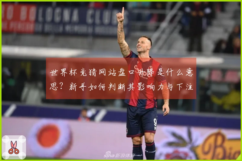 世界杯竞猜网站盘口升降是什么意思？新手如何判断其影响力与下注策略