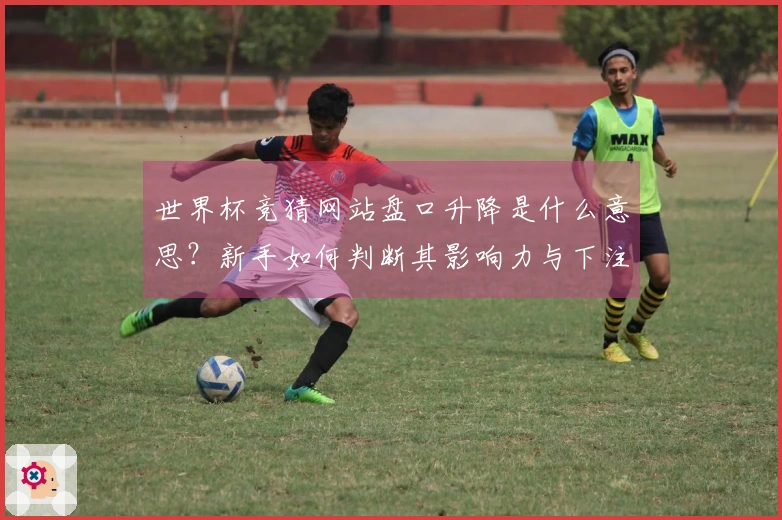 世界杯竞猜网站盘口升降是什么意思？新手如何判断其影响力与下注策略