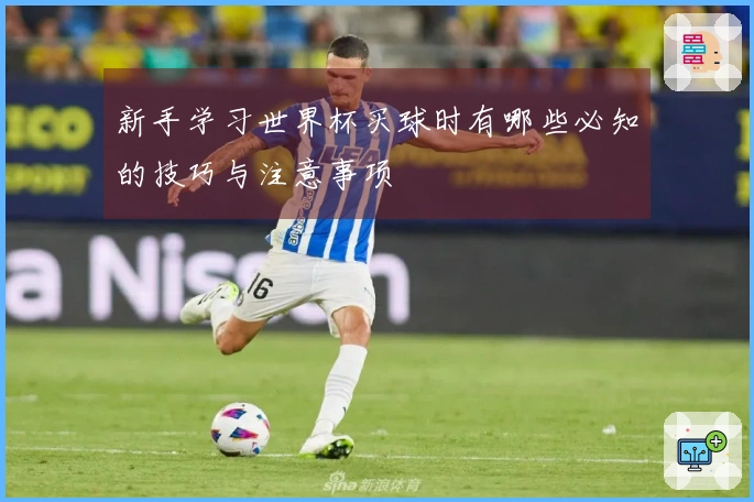 新手学习世界杯买球时有哪些必知的技巧与注意事项